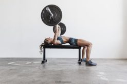 court 2 PBZDX1338Nobull